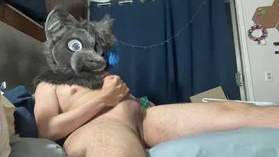 Kitty plays with themself