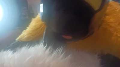 Baxter blows  3 srry for quality