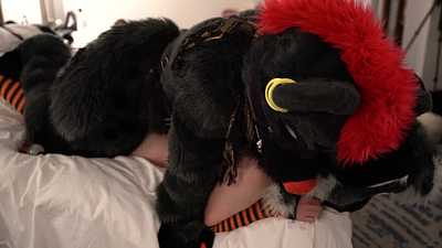 Loki puts Sly the kitty in his place