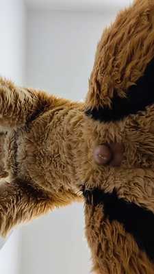 POV being pissed on by a jackal