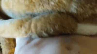 Cabbit getting fucked
