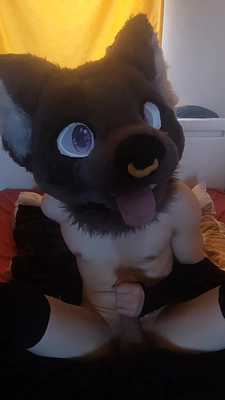 Catboy masturbates and cums~