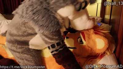 Can You Feel The Love Tonight (Full Video)