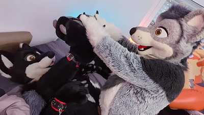 Fenny Time - Wolf of Substreet!