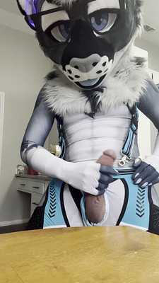 Sly loves his new petsuit~