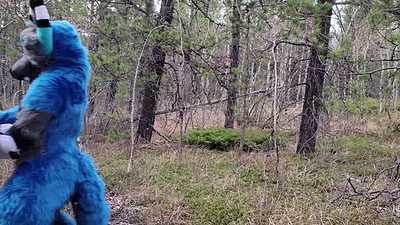 Wolf Dogs in the wild