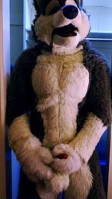 wolf cums in fursuit sheath 💦