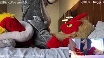 Blaziken Breeds Possum 