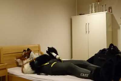 Leggy wands himself in neoprene (again)