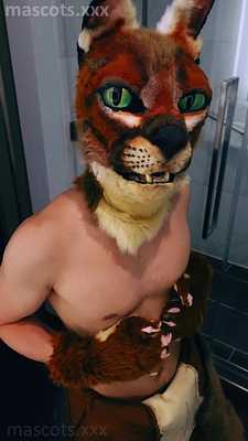 Wildcat mascot jerks off in suit for the first time (caracal fursuit)