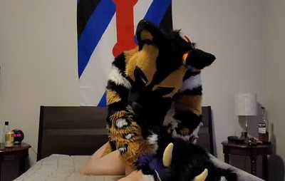 Wild dog takes cat dragon from behind