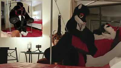 Jamie Tops Plush ScoutFox