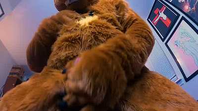 Just a Jerkin Bear