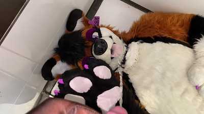 Fox taking a golden shower part 2