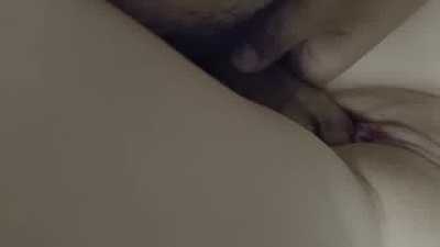 Puppy messes with a Bun and Dragon at AC