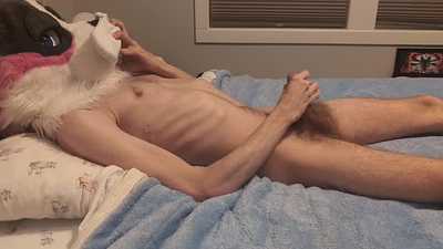 Minzi enjoys some socks