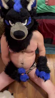 Muzofox marking his teritory on his big bad Wolf Skyway