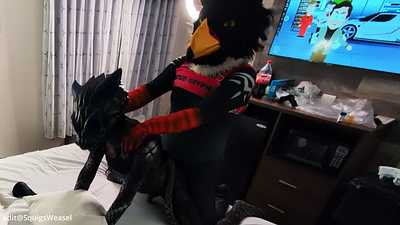 Midnight X Storm Gryphon