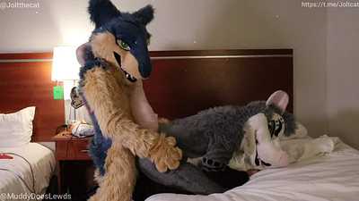 Typhlosion breeds daddy possum