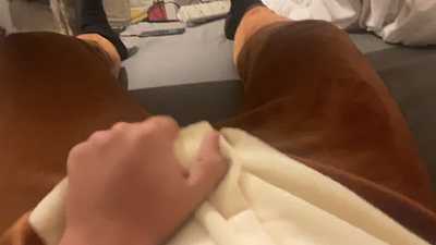 Lion relaxing on the bed.