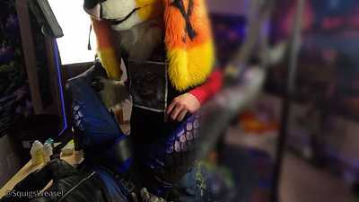 Midnight x Bouncehorn 