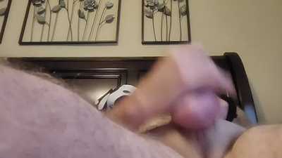 Dalmatian Puppy Playing with Their Bone