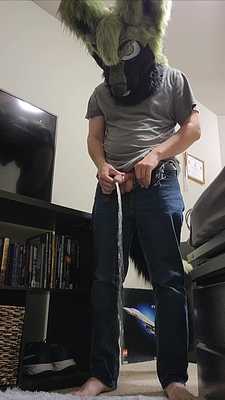 When a dog's gotta go