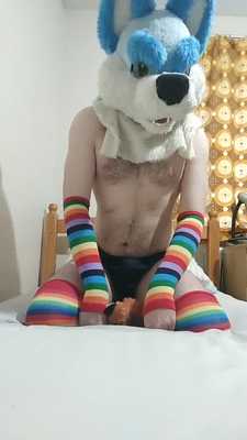 Wetting my bed and my fox plush