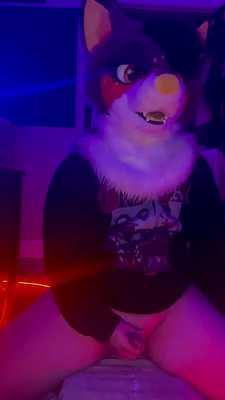 Fox  rides a dildo ;3