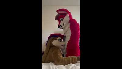 A Cabbit being spitroasted by a fox and pup