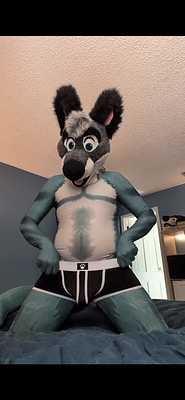 Wolf Trunks Turnaround