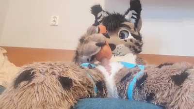 Lynx cum a lot after use a pussy