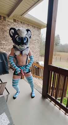 Kitty coming in from the Outdoors