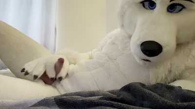 Wulfie Alone Time