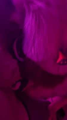 Hungry pup begs for more 