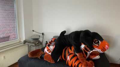 Jarvis with inflatable tiger pooltoy