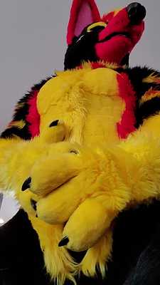 Pawing and showing off