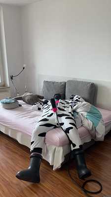 Cow milking all day long