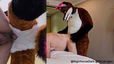 Lixx breeds mare in heat