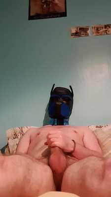 Puppy's first jerk off video