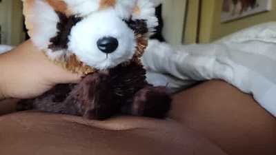 astro breeds his Bear Mod red panda plushie