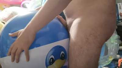 Glossy Aral Beachball