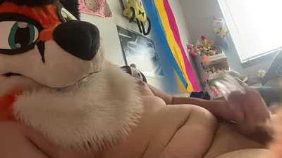 Chubby Fox Plays With Toy