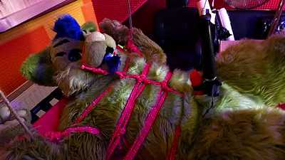 Tiger, Slings and the audacity of the Magic Wand