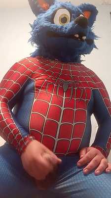 Spider wolf