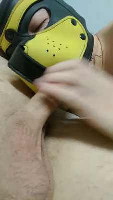 Being a good puppy for alpha