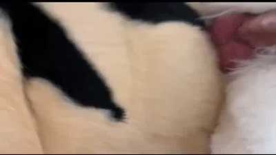 Murrsuit Threesome Bareback