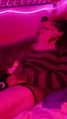 Quick Lingerie Nut uwu