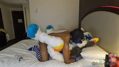 Swerve Bottoms For A Pup