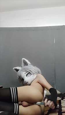 Trying to Find the P-SPOT | Cat the cat